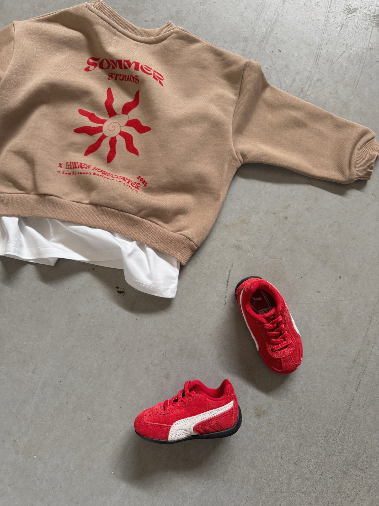 Sun Clam Crewneck